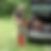BBWSandwich.com [Photo]/BBW Femdom in the forest