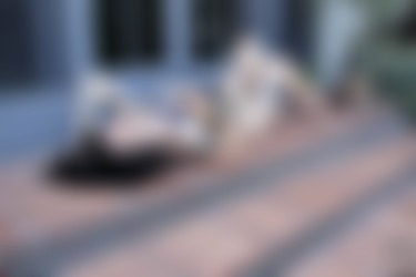 Arson/2019-10-06 Play With Fire/11.jpg