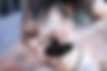 Arson/2019-10-06 Play With Fire/16.jpg