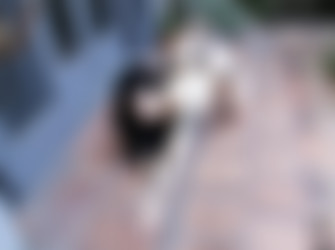 Arson/2019-10-06 Play With Fire/20.jpg