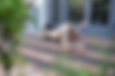 Arson/2019-10-06 Play With Fire/21.jpg