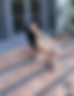 Arson/2019-10-06 Play With Fire/22.jpg