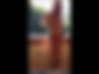 Tinytwat 2/Tinytwat_Stripping_In_Front_Of_The_Window_On_Vaca.mp4