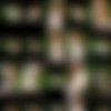 July (AKA July Suicide) (SuicideGirls.com)/_Contact Sheets