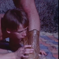 Falcon - The New Breed.mp4