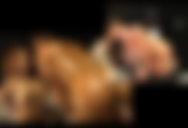 Powershotz_SiteRip/bryceshelenadildo.mpg