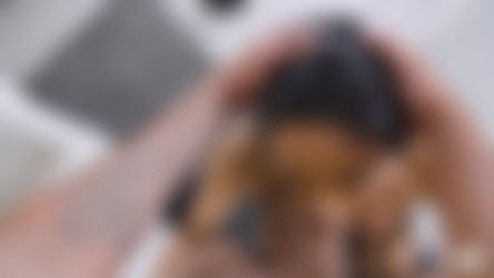 [PDP-HerLimit] HerLimit.com - PART 3 - UltraPACK by SoreForDays/[PDP-HerLimit] - Polly Pons - Stretch My Ass.mp4