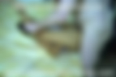 CD-16/Filipinno Teen 2/2.AVI