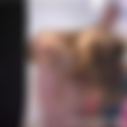 BruVio_Pralysed.avi