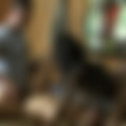 Natural Born Killers 05 - Death Wish.mkv